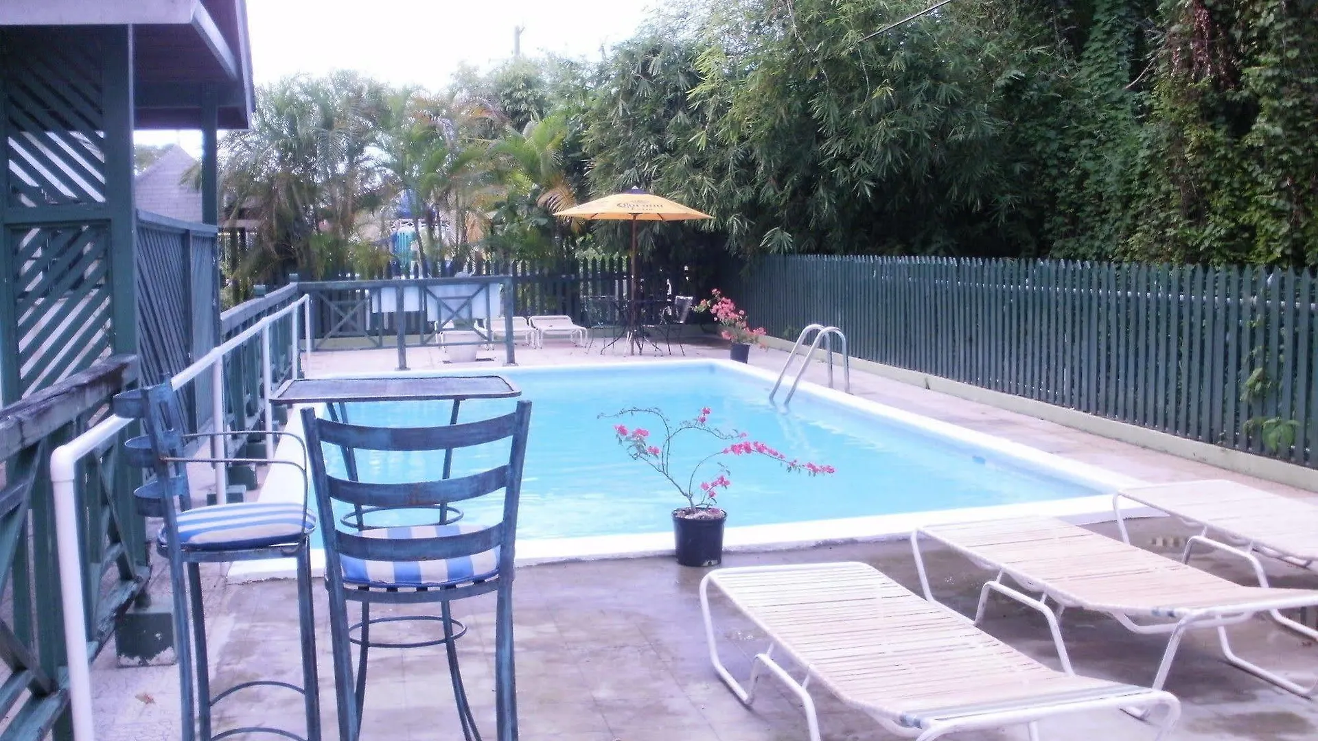 Pineapple Court Hotel Ocho Rios 2*,